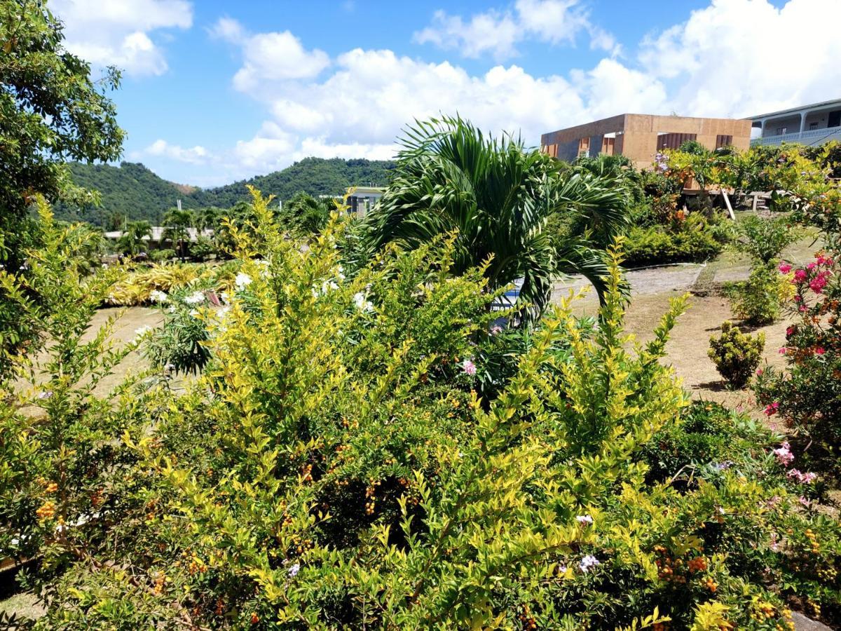 Diamond View Cottages Roseau Luaran gambar