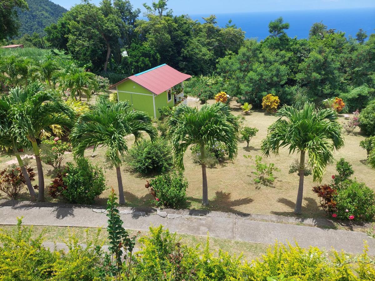 Diamond View Cottages Roseau Luaran gambar