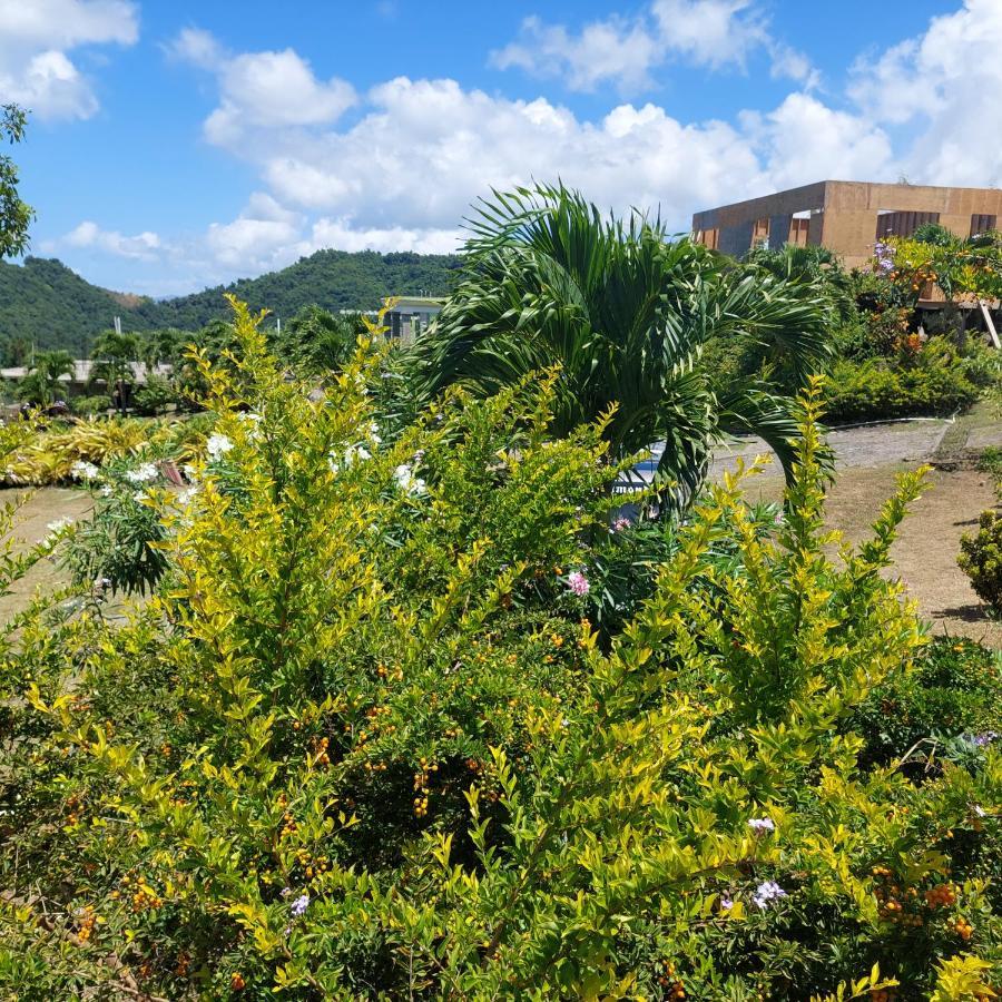 Diamond View Cottages Roseau Luaran gambar