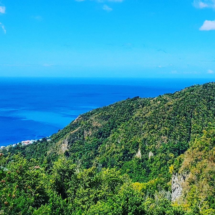 Diamond View Cottages Roseau Luaran gambar