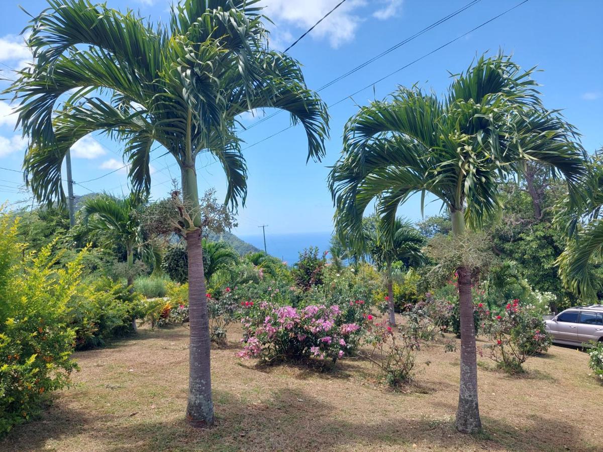Diamond View Cottages Roseau Luaran gambar