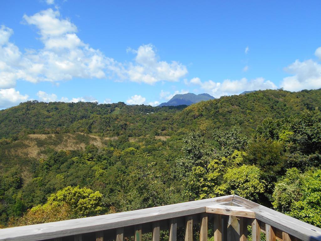 Diamond View Cottages Roseau Luaran gambar